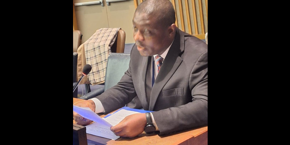 Jester W. Saydenuh, First Committee Expert